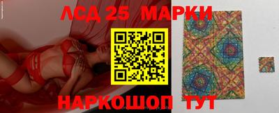 СК Шелехов