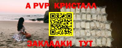 СК Шелехов