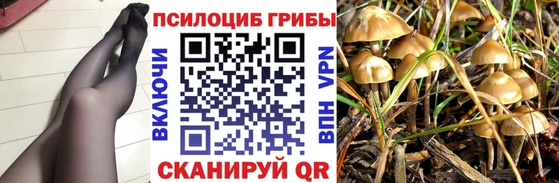 Псилоцибиновые грибы мицелий  Волжский 