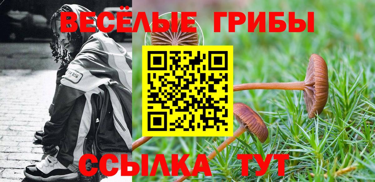 Волжский  Псилоцибиновые грибы Cubensis  Псилоцибиновые грибы мицелий  Вход с VPN 