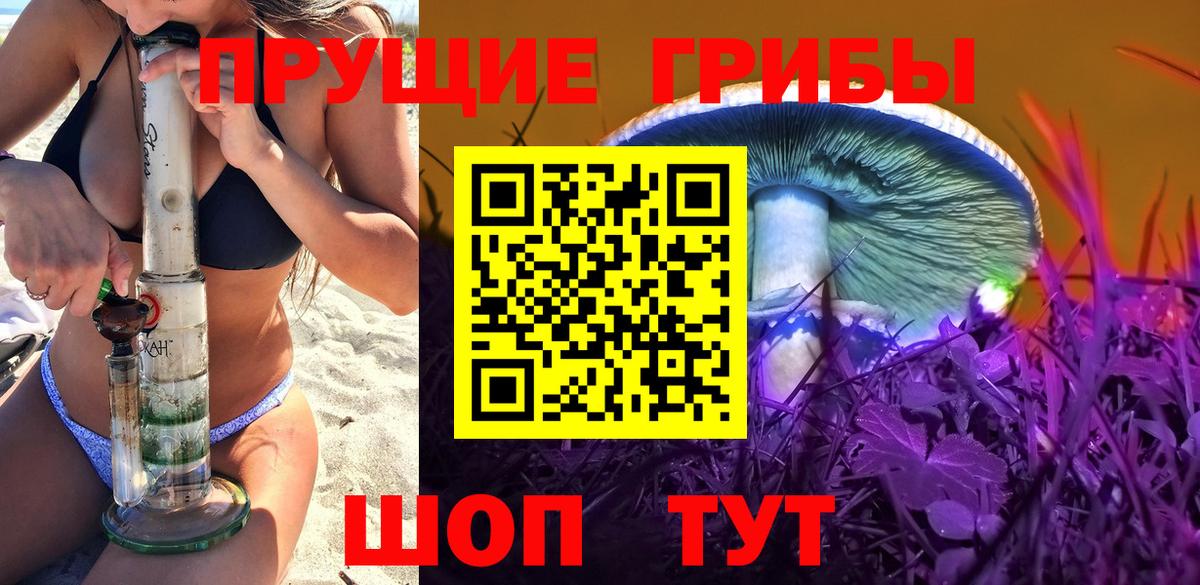 Галлюциногенные грибы Psilocybe Волжский